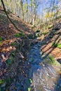 Small canyon near Cabrad castle ruins with creek and fallen dead trees during autumn