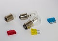 Small Car Light Bulbs &  Car Fuses Royalty Free Stock Photo
