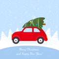 Small car on the roof carrying a festive tree for Christmas and New Year`s drive home in the winter nature of the forest