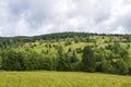 Small Carpathian village in the valleys near the green mountains