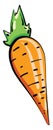 Small carrot, illustration, vector