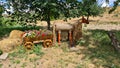 Small cart with flowers and fabulous horse made of wood and hemp ropes in village Royalty Free Stock Photo