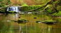 A small cascade along Whatcom creek in Bellingham, WA