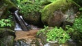 Small cascade in the austrian canyon wolfsschlucht