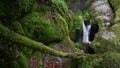 Small cascade in the austrian canyon wolfsschlucht