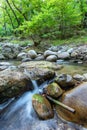 Small cascade in a creek