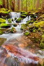 A small cascade flowing near Sol Duc Falls, Olympic National For Royalty Free Stock Photo
