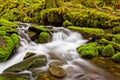 A small cascade flowing near Sol Duc Falls, Olympic National For Royalty Free Stock Photo