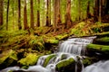 A small cascade flowing near Sol Duc Falls, Olympic National For Royalty Free Stock Photo