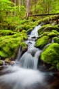 A small cascade flowing near Sol Duc Falls, Olympic National For Royalty Free Stock Photo