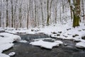 Small cascade on the forest creek in winter Royalty Free Stock Photo