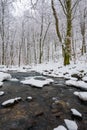 Small cascade on the forest creek in winter Royalty Free Stock Photo