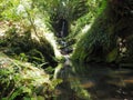 Small cascade in the gorge near Iokido Cave