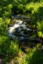 Small Cascade Through The Green Grasses Of Paradise Meadow