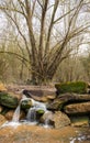 Small cascade and huge tree