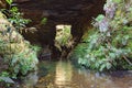 Small cascade in the interior of the forest illuminated by spindles of light