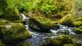 Stream or creek flowing between mossy rocks, water, autumn, Ireland Royalty Free Stock Photo