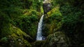 Stream or creek flowing between mossy rocks, water, autumn, Ireland Royalty Free Stock Photo