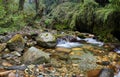 A small cascade on the stream in the murmorable moss and fern in the stonye, in the mystical forest of Nepal