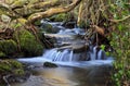 Small cascade of water over moss covered rocks Royalty Free Stock Photo