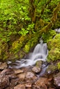 Small cascade waterfall flowing into rocks Royalty Free Stock Photo