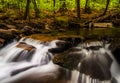 Small cascades along Glen Leigh, Ricketts Glen State Park