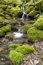 Small cascades along a stream. Royalty Free Stock Photo