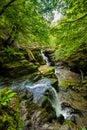 Small cascades in a deep, narrow gorge surrounded by Beech forest (Clydach Gorge Royalty Free Stock Photo