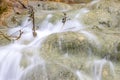 Small cascades of waterfalls on a mountain stream in the spring. Parod River. Israel Royalty Free Stock Photo