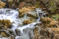 Small cascades of waterfalls on a mountain stream in the spring. Parod River. Israel Royalty Free Stock Photo