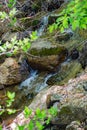 Small Cascading Mountain Stream Royalty Free Stock Photo