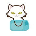 small cat yellow eyes blue pet carrier bag travel
