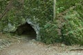 Small cave entrance hole in the moss covered rock