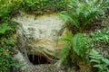 Small cave and ferns, near Dundaga, Latvia