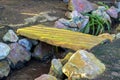 Small cement footpath or bridge over small river creek stream in natural wooded area with decorative stones and plants Royalty Free Stock Photo