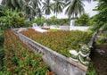 Small cemetery in the mekong delta,vietnam 2 Royalty Free Stock Photo