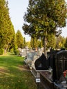 Small cemetery in Poland in Autumn