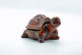 Small Ceramic brown tortoise