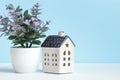Small ceramic house plant in a pot on a white table on a blue background. Home decor decoration