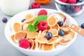 Small cereal pancakes with maple syrup, raspberry, blueberry and milk, in white bowl, horizontal, closeup Royalty Free Stock Photo