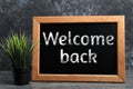 Small chalkboard with phrase Welcome Back and houseplant on table