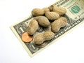 Small Change Peanuts Royalty Free Stock Photo