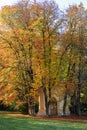 Small chapel with autumn coloful trees, Czech landscape