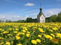 Small chapel in a field of bright yellow flowering dandelions