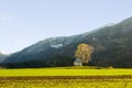 Chapel Sogn Mang at Bonaduz, Grisons Royalty Free Stock Photo