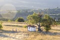 A small chapel under a century-old tree at the end of summer