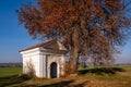 Small chapel under chestnut tree in countryside in sunny autumn day