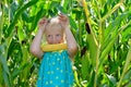 A small, cheerful girl among high, green corn