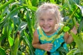 A small, cheerful girl among high, green corn