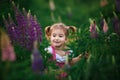 A small cheerful girl with two light tails on her head in a green field with purple flowers.